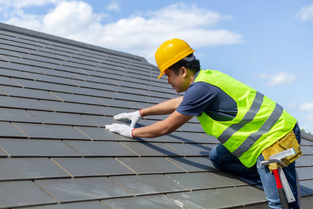 Best Roof Gutter Cleaning  in Akron, NY
